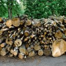 유앤행정사사무소 이미지