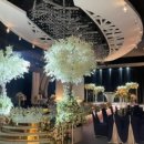 남농로9 이미지