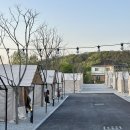 여주-0411 이미지