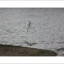 서호공원 이미지