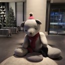 12/2 크리스마스 테라리움 이미지