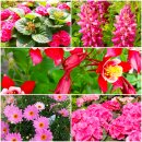 부천자연생태공원 이미지