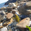 후진항 화장실 이미지