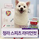 빠찌애견 이미지