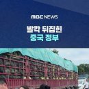 포름알데히드에 적신 배추에 발칵 뒤집힌 중국 정부‥유통 경로 추적 나서 이미지