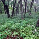 인제13-2 이미지