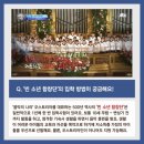 역사와 전통 '빈 소년 합창단' 한국의 아리랑까지 섭렵/JTBC 비정상회담 이미지