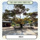 전등사 동문1(온수리613-10) | 2025년 10월 전등사 가을 나들이와 주차 꿀팁! 하이브리드 할인까지