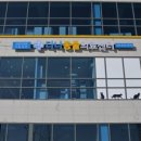 다나동물의료센터 이미지