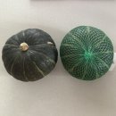 953 | 테팔 핸드블렌더로 브로콜리스프 만들기｜HB953DKR 사용 후기