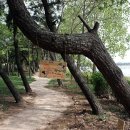 생태숲학습관 2층 이미지