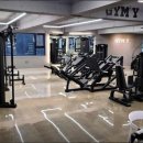 Y.GYM 이미지