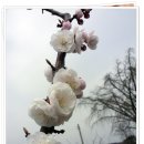 아미농장 이미지