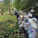 초부리유아숲체험원 이미지