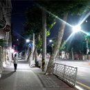 보문로 이미지
