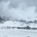 강진4호 | 🌀2025년 태풍 4호 다나스 경로 예측! 한반도 피해 가능성은?