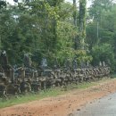 캄보디아를 가다(12)...툼레이더촬영지로도 유명한 나무뿌리의 사원 타 프롬사원 이미지
