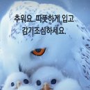 제이드스크린골프 이미지