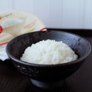 즉석