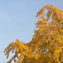 남천1-301 이미지