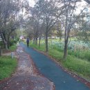 청진동국밥 이미지