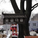 만다린옛날손짜장 이미지