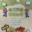 한미농장 이미지