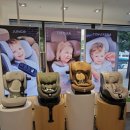 하이베베 이미지