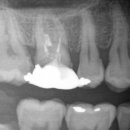 가락서울치과의원 이미지