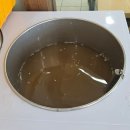 패밀리뷔페토마토 이미지