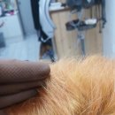 헤어살롱 연주네