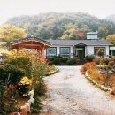 개울가 - 서산시 마애삼존불길 83 | 개울가