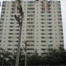 분당-199 이미지