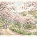 흥동 농장 | 김해 목련숲 개화시기, 실시간 만개 상황과 주차 팁