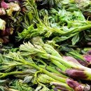 토종농산 이미지