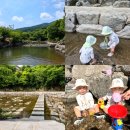 길손농원 | 경기도 동두천 탑동 왕방계곡 두 돌 아기랑 물놀이 (+주차장, 화장실, 카페위치)