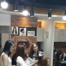 테디헤어 티스토리
