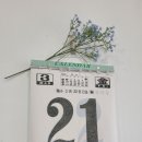 영양군 꽃차사회적협동조합 이미지