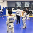 금강태권도 파워점핑 이미지