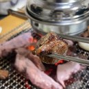 팔뚝갈비 이미지
