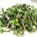 회인농장 이미지