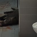 남부도서관 화장실 이미지