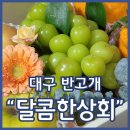 사곡 싱싱과일상회 | 대구과일선물세트 달콤한상회 명절선물 설선물 첫인사선물 시부모님선물 추천