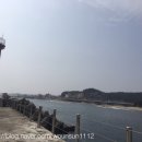 바다에걸린별