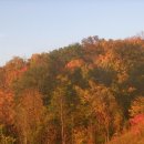 즐거운세탁소 이미지