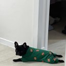 프불하우스 이미지