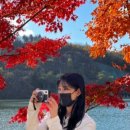 로즈가든펜션 이미지