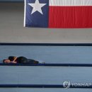 The fair w 이미지