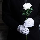 칼럼 쓰기 이미지