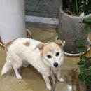 서남교회_앞 이미지